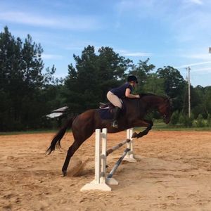 Meet your Posher, Mary janice